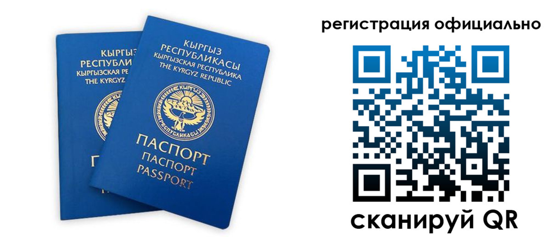 прописка поиск в Приволжске